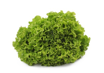 Салат романо 1 кг - купить в Широкундыше